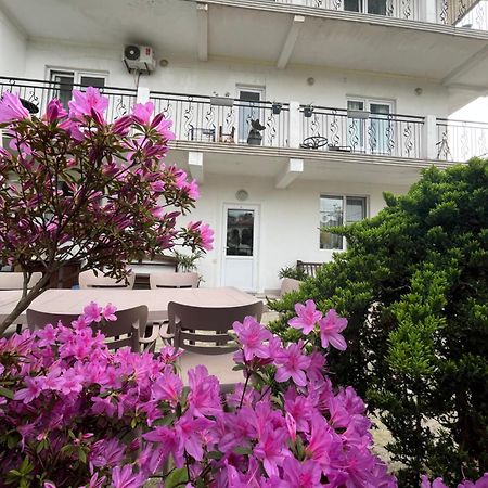 Guest House Junona Makhinjauri Bagian luar foto