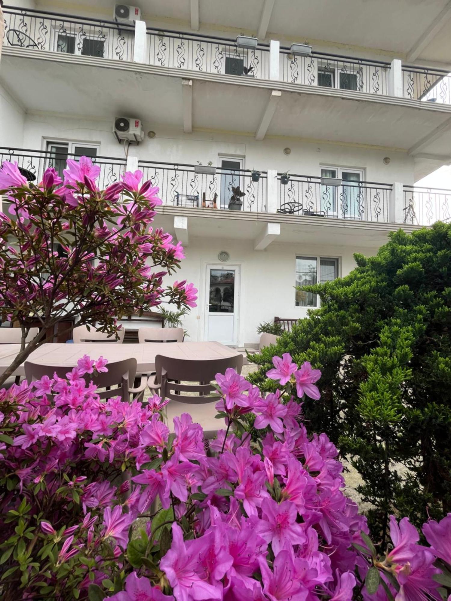 Guest House Junona Makhinjauri Bagian luar foto